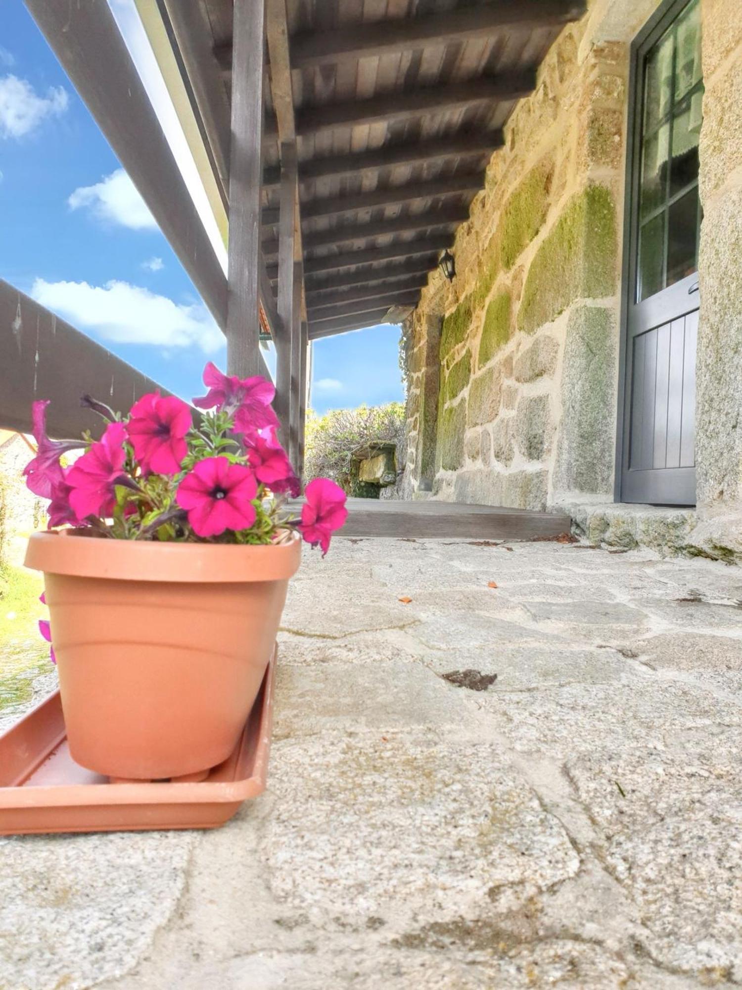 Welcoming House With Mountain View In Agueda Shared Pool Villa Urgueira  Eksteriør bilde